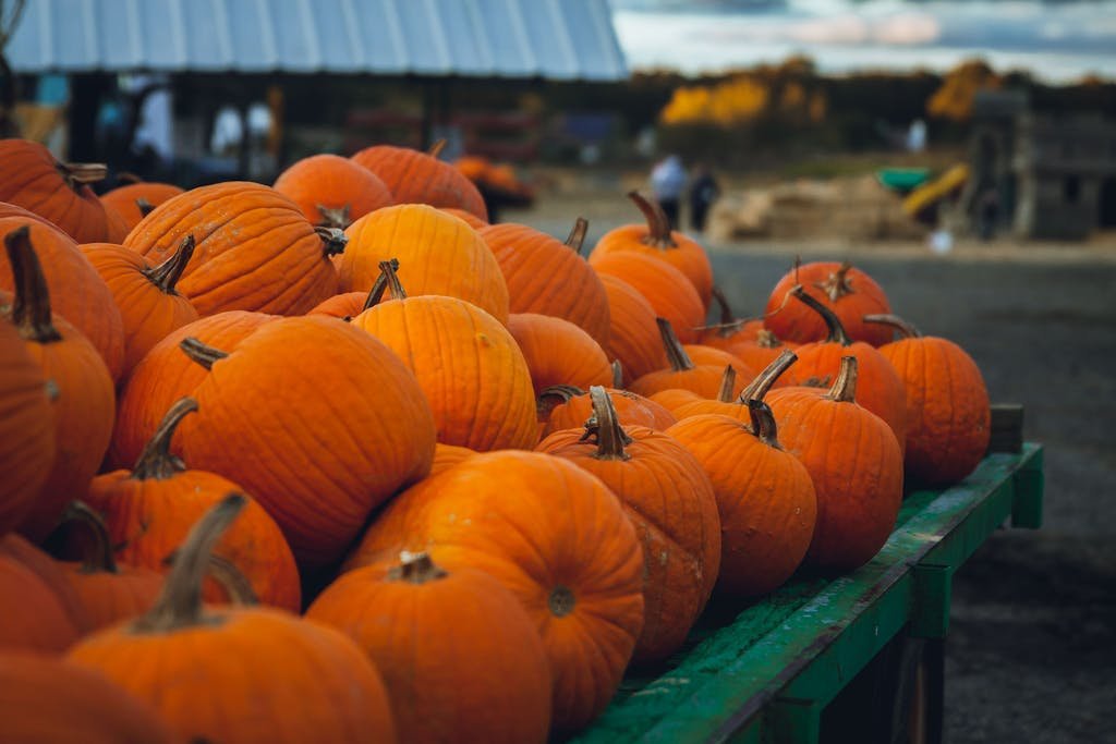 Calabazas