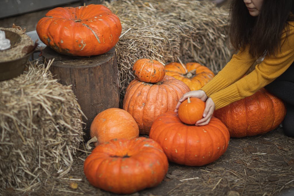 Orange Pumpkin on Brown Hay