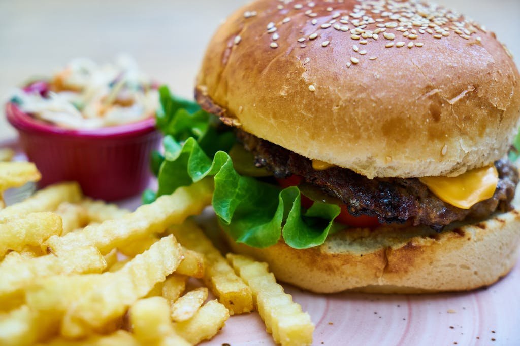 Burger and Fries